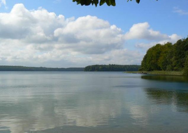 Der Stechlinsee, Foto: TMB/Robby Kupfer Der Stechlinsee, Foto: TMB/Robby Kupfer
