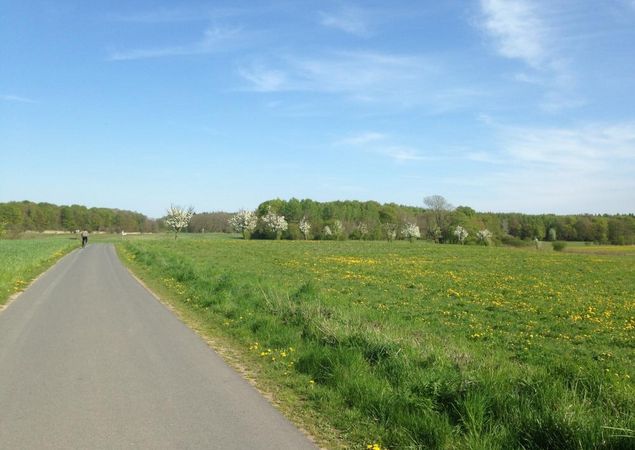 Radweg bei Friedrichswalde, Foto: Alena Lampe, Lizenz: Amt Burg (Spreewald) Radweg bei Friedrichswalde, Foto: Alena Lampe, Lizenz: Amt Burg (Spreewald)