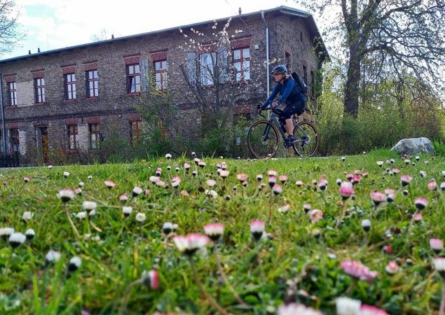Radfahrerin bei Zehdenick, Foto: Michelle Engel, Lizenz: TV Ruppiner Seenland Radfahrerin bei Zehdenick, Foto: Michelle Engel, Lizenz: TV Ruppiner Seenland