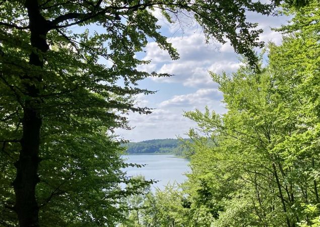 Augustablick, Foto: Itta Olaj, Lizenz: Tourismusverband Ruppiner Seenland e. V.