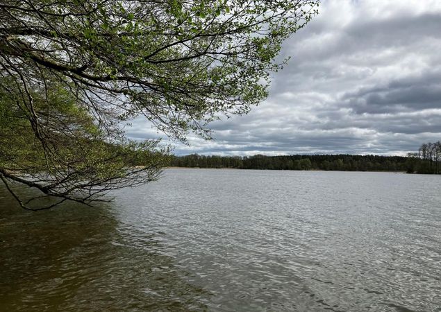 Blick auf den Moderfitzsee, Foto: Jörg Bartz, Lizenz: TV Ruppiner Seenland e.V.