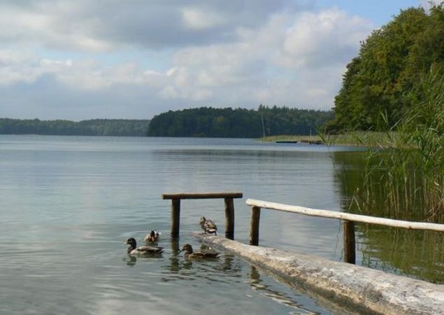 Der Stechlinsee, Foto: TMB/Robby Kupfer Der Stechlinsee, Foto: TMB/Robby Kupfer