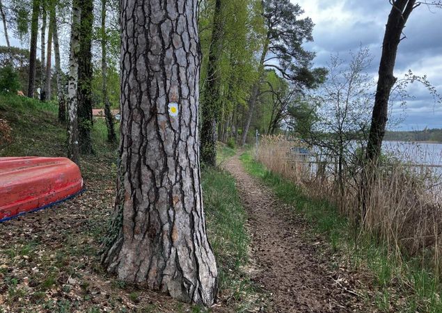 Wegmarkierung: Quadrat mit gelben Punkt auf weißem Hintergrund, Foto: Jörg Bartz, Lizenz: TV Ruppiner Seenland e.V.
