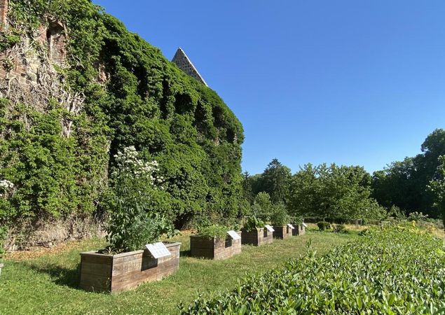 Hochbeete Klostergarten, Foto: Elisabeth Kluge , Lizenz: Tourist-Information Zehdenick Hochbeete Klostergarten, Foto: Elisabeth Kluge , Lizenz: Tourist-Information Zehdenick