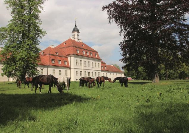 Hauptgestüt, Foto: Landkreis OPR, Lizenz: SBHLG