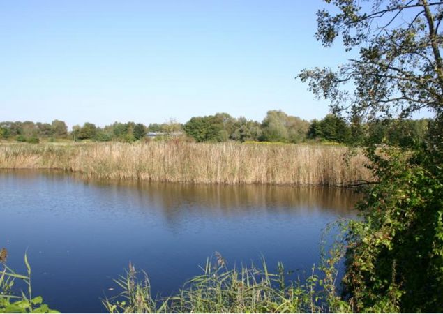 Tonstichlandschaft bei Zehdenick, Foto: Tourismusverband Ruppiner Seenland e.V., Lizenz: Tourismusverband Ruppiner Seenland e.V. Tonstichlandschaft bei Zehdenick, Foto: Tourismusverband Ruppiner Seenland e.V., Lizenz: Tourismusverband Ruppiner Seenland e.V.