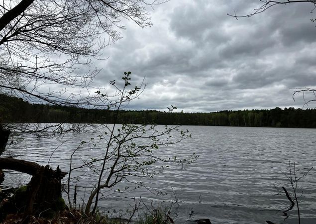 Wanderweg entlang am Ufer des Haussees, Foto: Jörg Bartz, Lizenz: TV Ruppiner Seenland e.V.