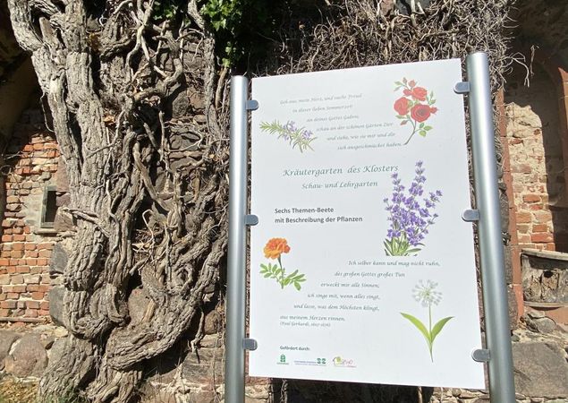 Kräutergarten, Foto: Elisabeth Kluge, Lizenz: Tourist-Information Zehdenick