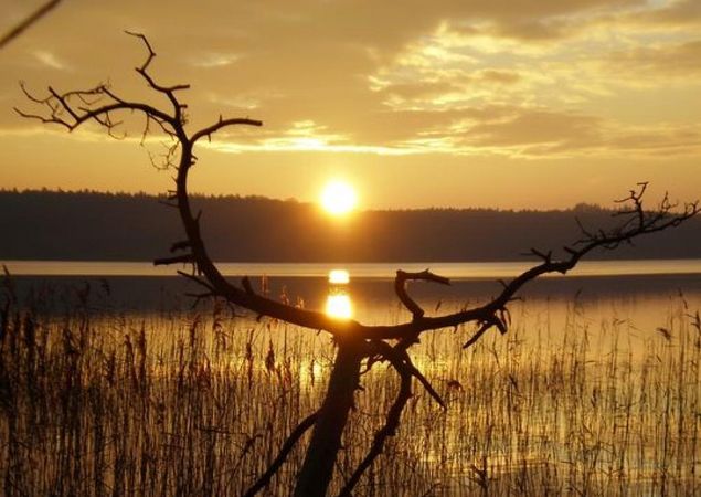 Der Stechlinsee, Foto: Tourismusverband Ruppiner Seenland Der Stechlinsee, Foto: Tourismusverband Ruppiner Seenland