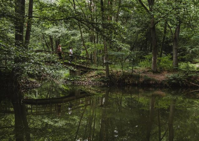 Wanderer auf einer Brücke über den Hegensteinbach, Foto: Madlen Krippendorf, Lizenz: Stadt Fürstenberg/Havel