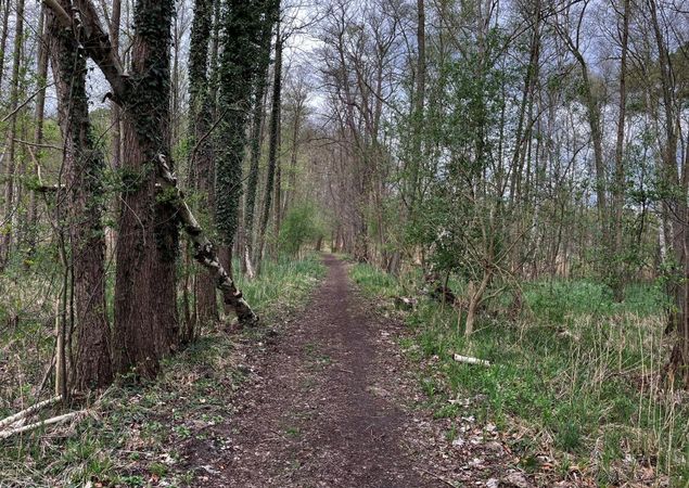 Der Wanderweg führt durch eine Mystische Landschaft, Foto: Jörg Bartz, Lizenz: TV Ruppiner Seenland e.V.