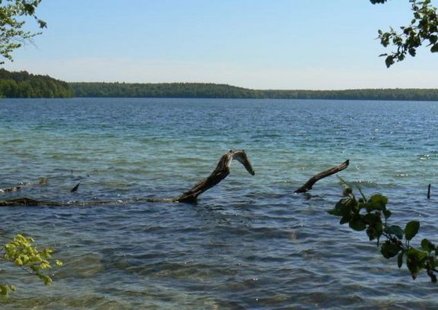 Der Stechlinsee, Foto: TMB/Robby Kupfer Der Stechlinsee, Foto: TMB/Robby Kupfer