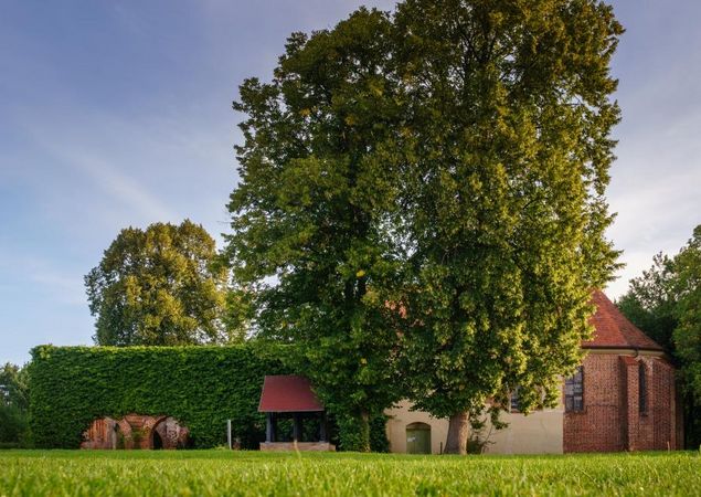 Klosterruine in Himmelpfort, Foto: André Wirsig, Lizenz: REGiO-Nord mbH