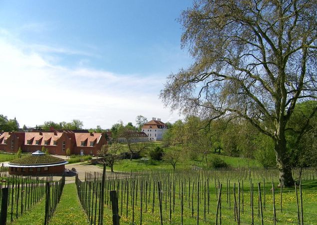 Schlosswirt Meseberg, Foto: Tourismusverband Ruppiner Seenland e.V., Lizenz: Tourismusverband Ruppiner Seenland e.V. Schlosswirt Meseberg, Foto: Tourismusverband Ruppiner Seenland e.V., Lizenz: Tourismusverband Ruppiner Seenland e.V.