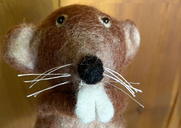 Filzbiber, Foto: Frau Rau, Lizenz: Frau Rau