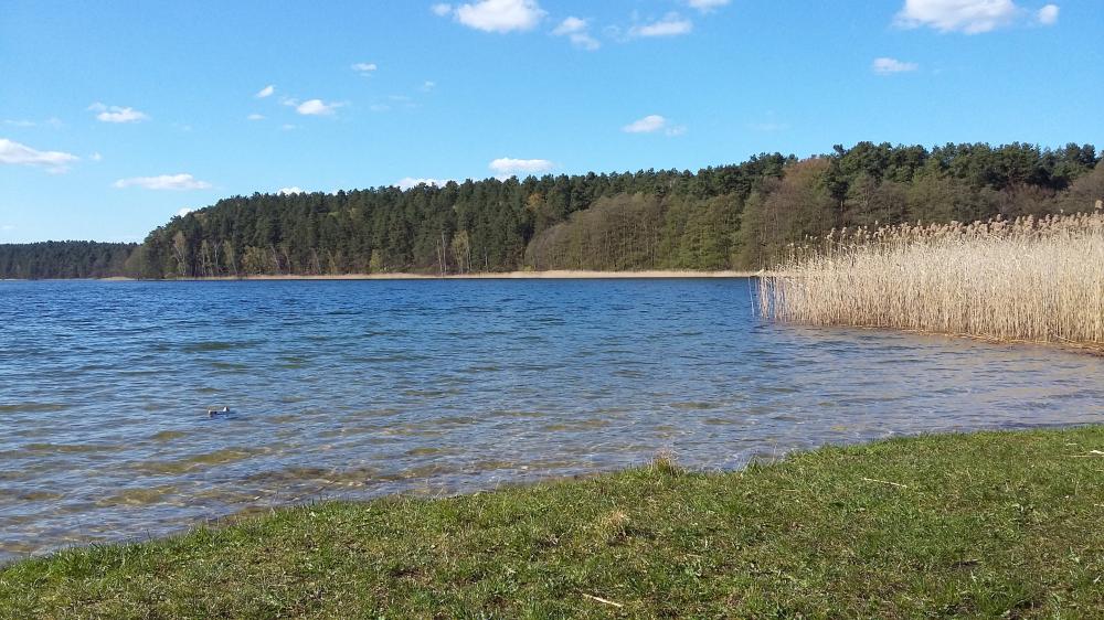 Badestelle am Roofensee in Menz