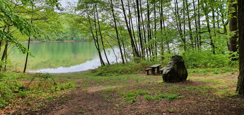 Badestelle am Peetschsee in Steinförde