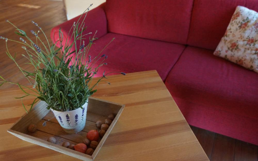 Große Ferienwohnung Lindenhof, Foto: Pension Lindenhof Große Ferienwohnung Lindenhof, Foto: Pension Lindenhof