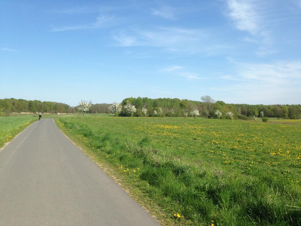 Radweg bei Friedrichswalde, Foto: Alena Lampe, Lizenz: Amt Burg (Spreewald) Radweg bei Friedrichswalde, Foto: Alena Lampe, Lizenz: Amt Burg (Spreewald)