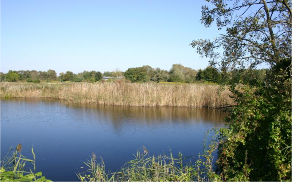 Tonstichlandschaft bei Zehdenick, Foto: Tourismusverband Ruppiner Seenland e.V., Lizenz: Tourismusverband Ruppiner Seenland e.V. Tonstichlandschaft bei Zehdenick, Foto: Tourismusverband Ruppiner Seenland e.V., Lizenz: Tourismusverband Ruppiner Seenland e.V.