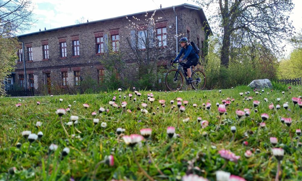 Radfahrerin bei Zehdenick, Foto: Michelle Engel, Lizenz: TV Ruppiner Seenland Radfahrerin bei Zehdenick, Foto: Michelle Engel, Lizenz: TV Ruppiner Seenland