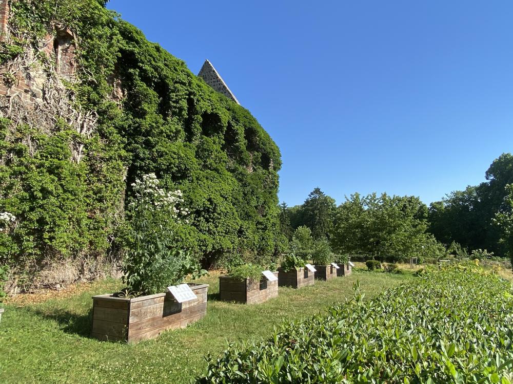 Hochbeete Klostergarten, Foto: Elisabeth Kluge , Lizenz: Tourist-Information Zehdenick Hochbeete Klostergarten, Foto: Elisabeth Kluge , Lizenz: Tourist-Information Zehdenick