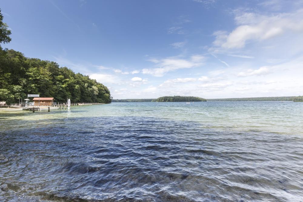 Badestelle am Stechlinsee in Neuglobsow