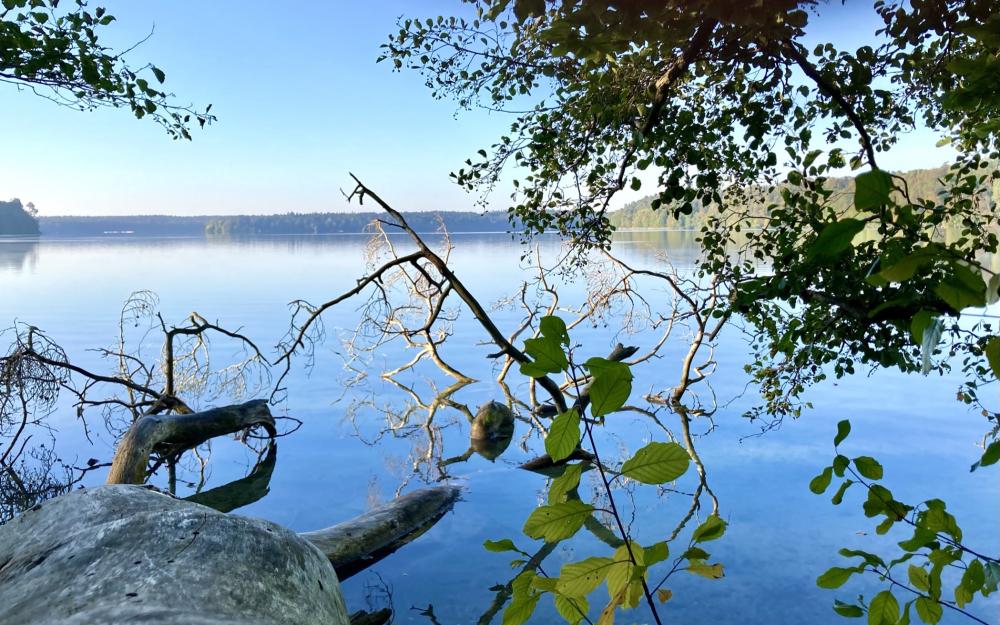 Morgenstimmung am Stechlinsee, Foto: Itta Olaj, Lizenz: Tourismusverband Ruppiner Seenland e. V. Morgenstimmung am Stechlinsee, Foto: Itta Olaj, Lizenz: Tourismusverband Ruppiner Seenland e. V.