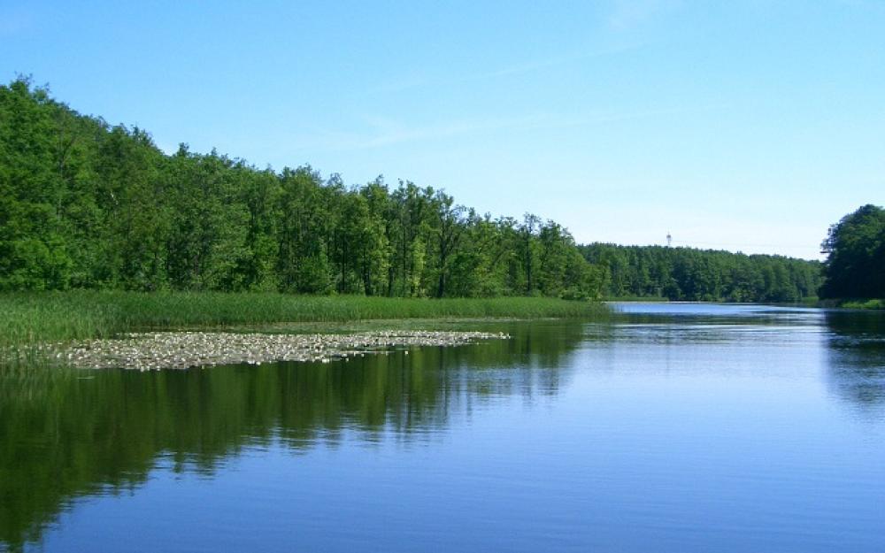 Havel zwischen Schwedtsee und Stolpsee bei Fürstenberg/Havel Havel zwischen Schwedtsee und Stolpsee bei Fürstenberg/Havel