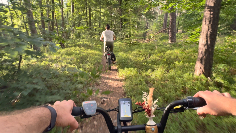 Woodshock Adventures – E-Bike-Touren & Verleih in Zehdenick Woodshock Adventures – E-Bike-Touren & Verleih in Zehdenick