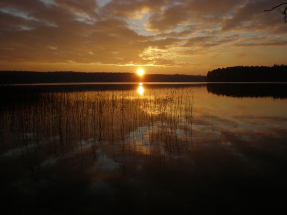 Der Stechlinsee, Foto: Tourismusverband Ruppiner Seenland Der Stechlinsee, Foto: Tourismusverband Ruppiner Seenland
