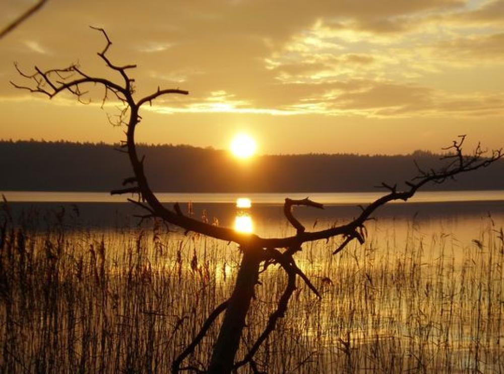Der Stechlinsee, Foto: Tourismusverband Ruppiner Seenland Der Stechlinsee, Foto: Tourismusverband Ruppiner Seenland