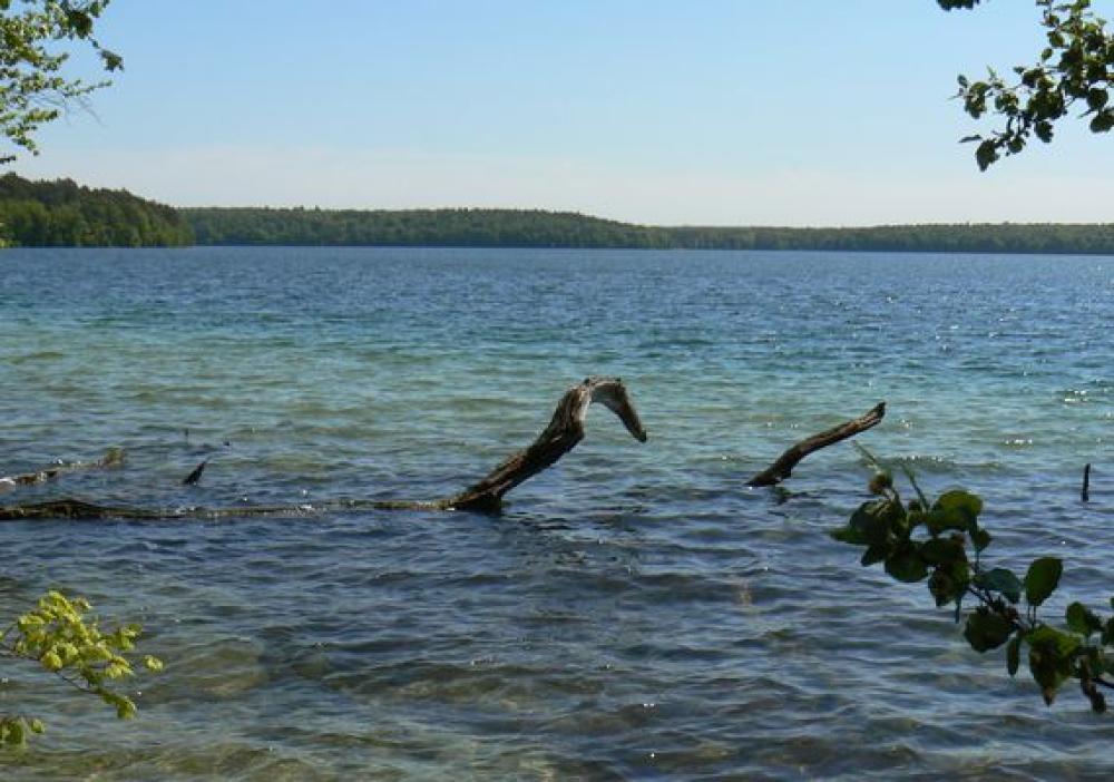 Der Stechlinsee, Foto: TMB/Robby Kupfer Der Stechlinsee, Foto: TMB/Robby Kupfer
