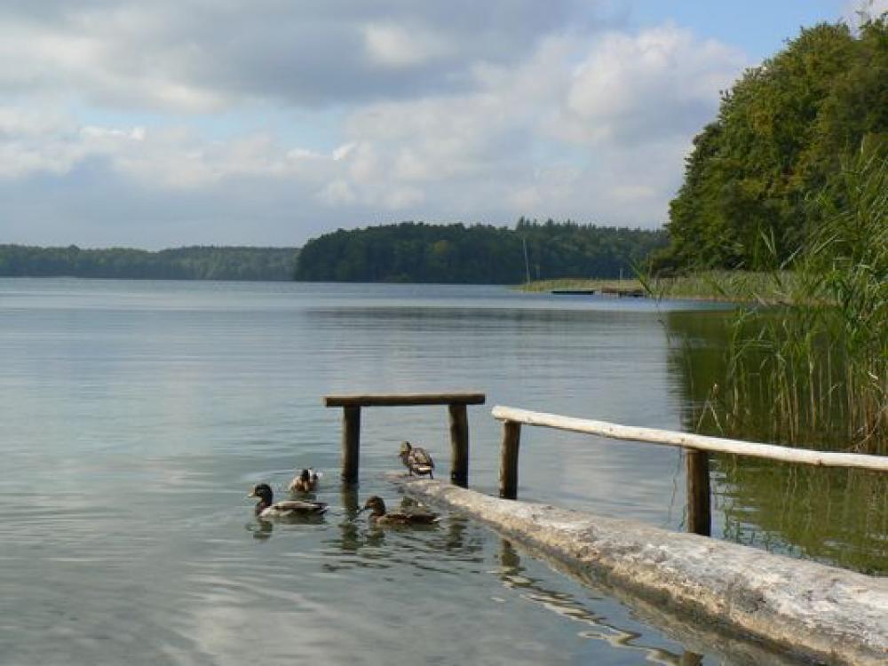 Der Stechlinsee, Foto: TMB/Robby Kupfer Der Stechlinsee, Foto: TMB/Robby Kupfer